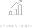 common-equity-icon