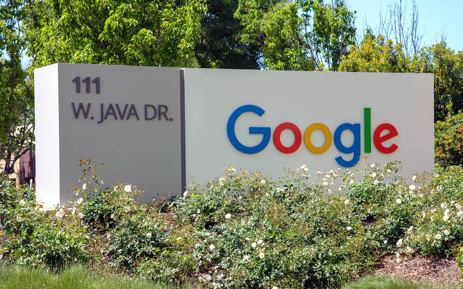 A photo of the sign in front of the Silicon Valley Google Campus.
